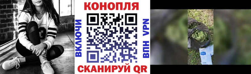 магазин    Балахна  Бошки Шишки ГИДРОПОН 